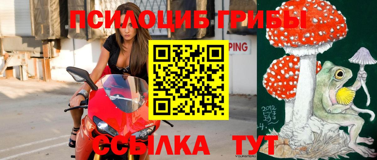 Галлюциногенные грибы GOLDEN TEACHER Глазов