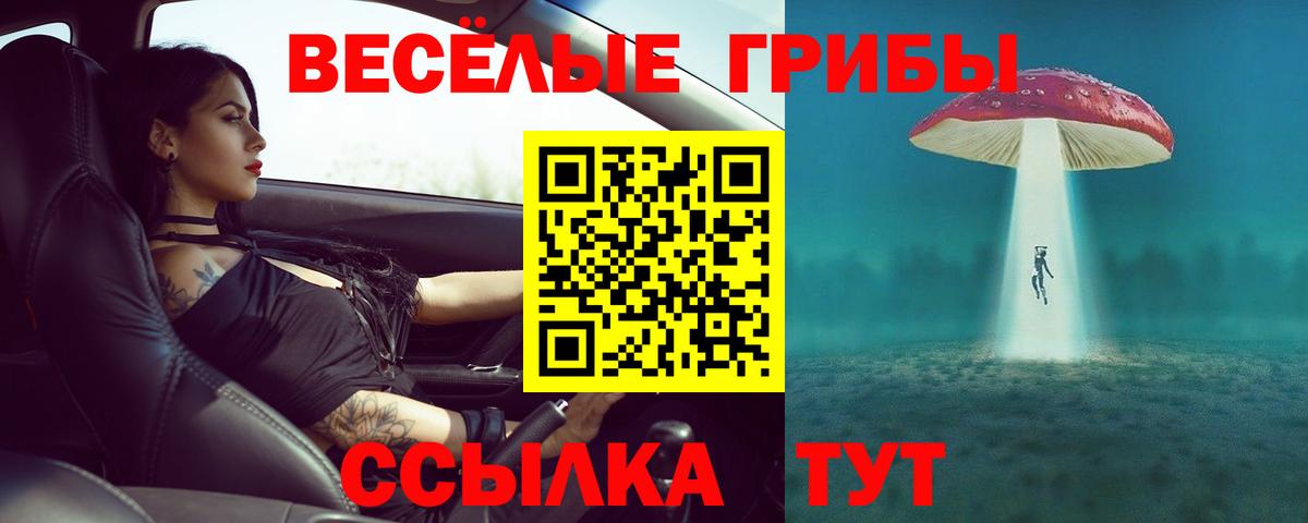 Глазов  как найти наркотики  Галлюциногенные грибы мухоморы  Вход с VPN  Псилоцибиновые грибы GOLDEN TEACHER 